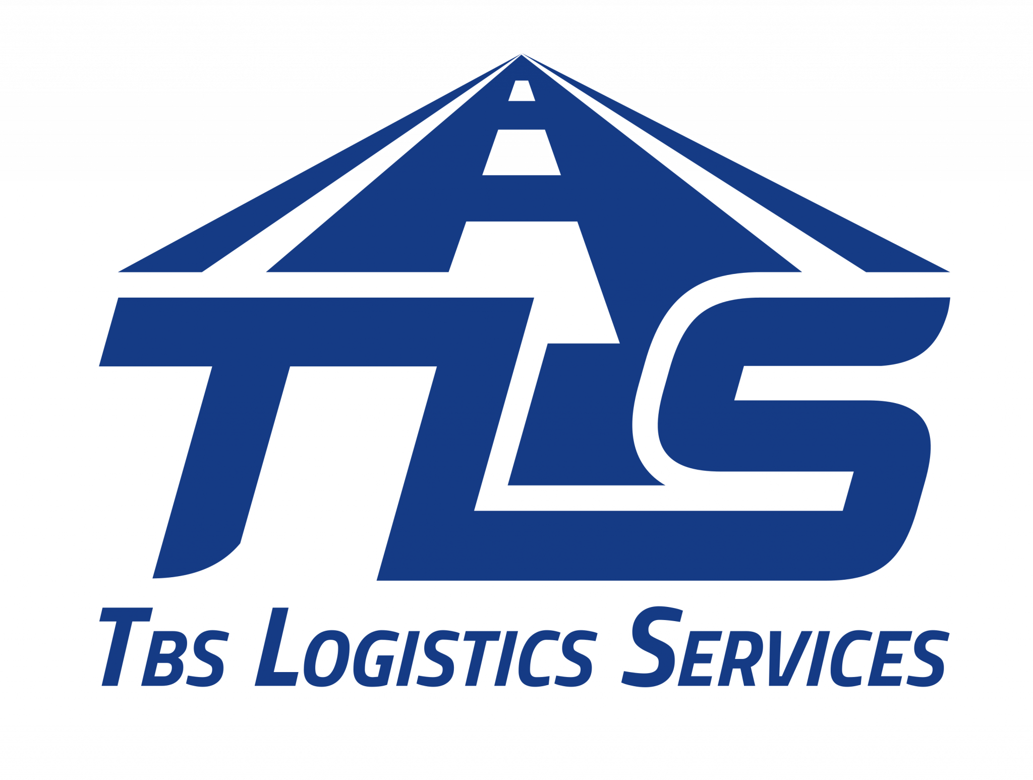 TLS logotipo